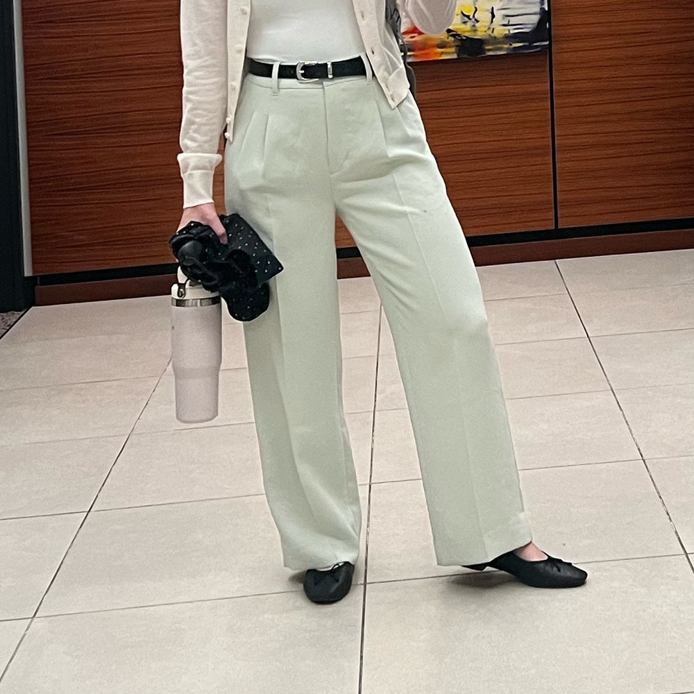 Aritzia Light Green Trousers